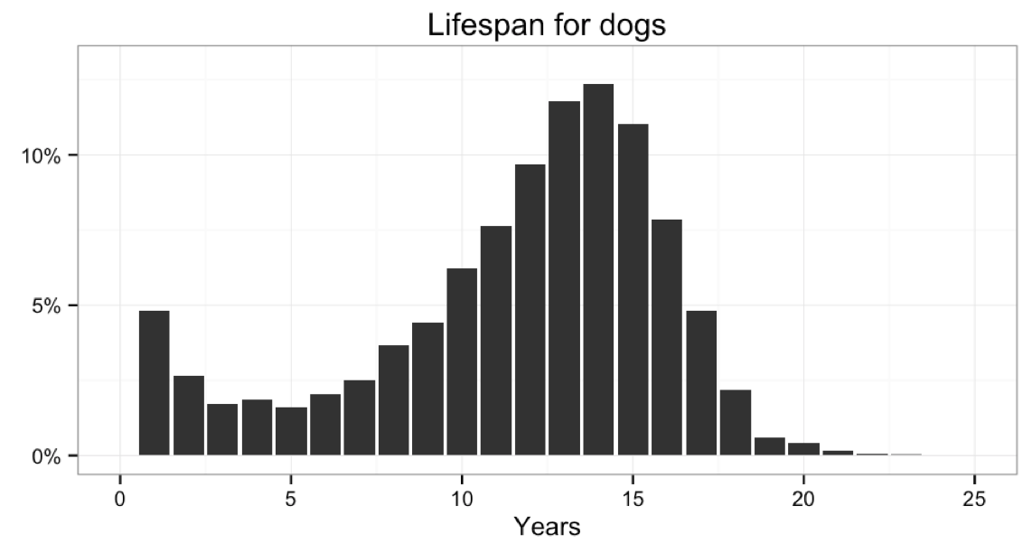 Do cats or dogs live longer 1