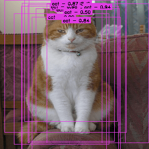 region proposals on a cat image