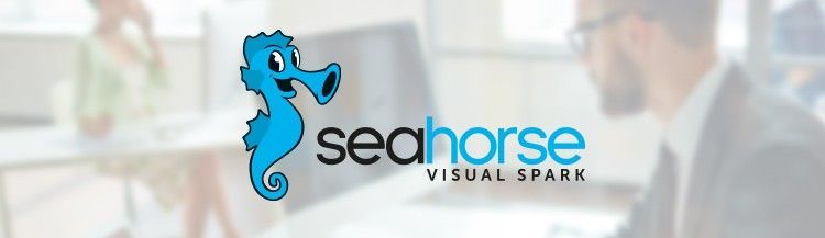 R Notebook and Custom R Operations in the new Seahorse release