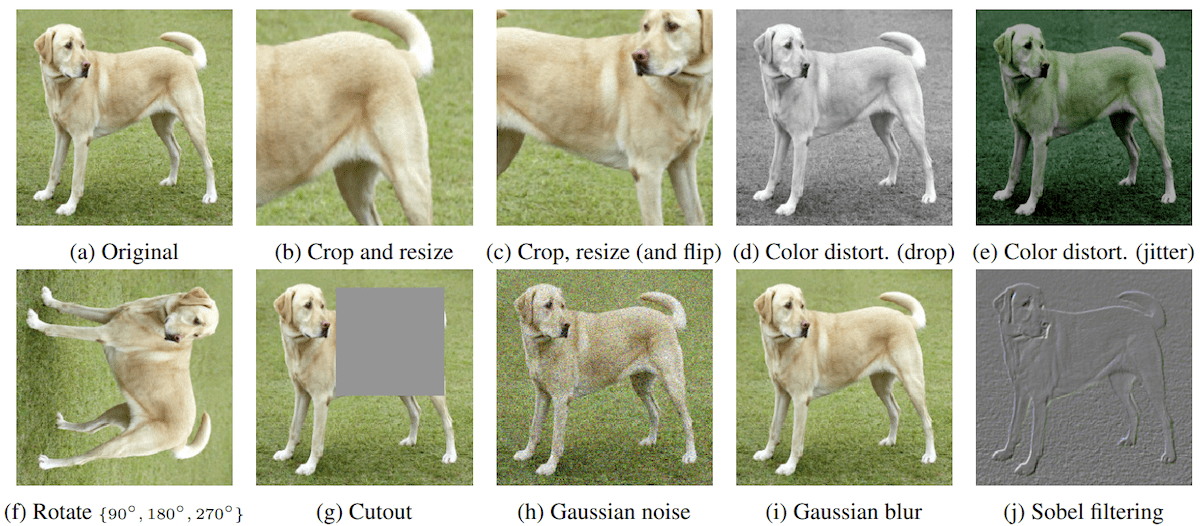 Fig. 2: Augmentations studied in the SimCLR paper.